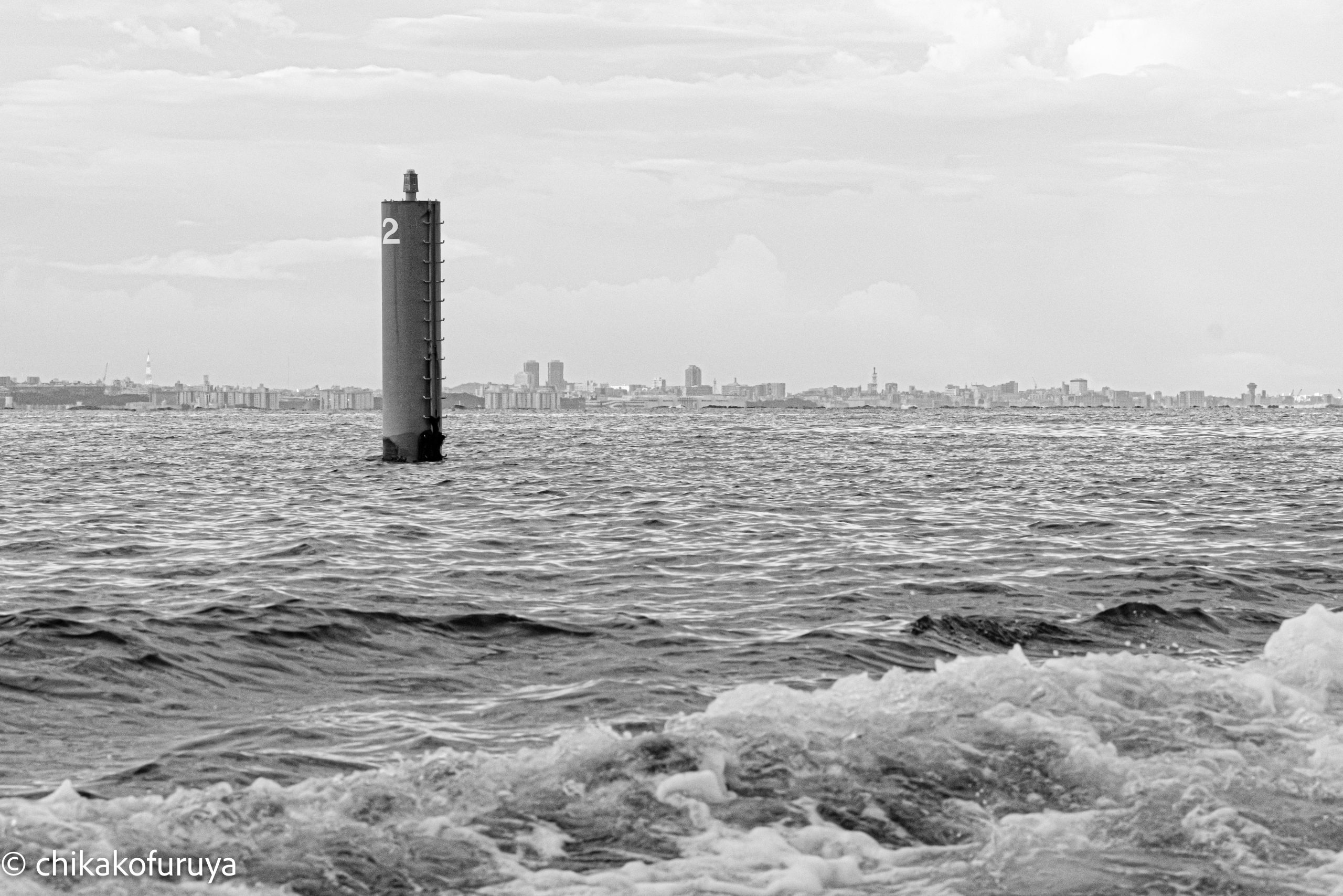 01_DSC_3919 01_DSC_3919