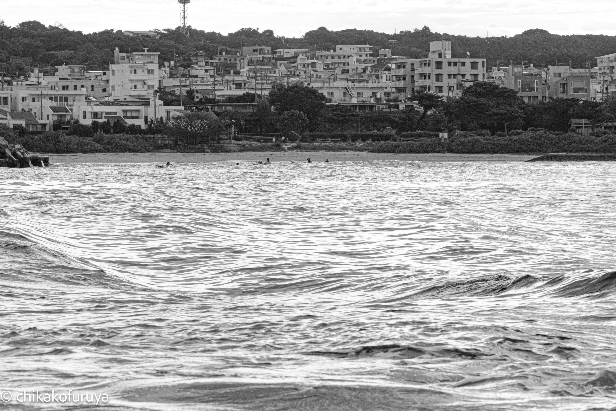 02_DSC_3924 02_DSC_3924