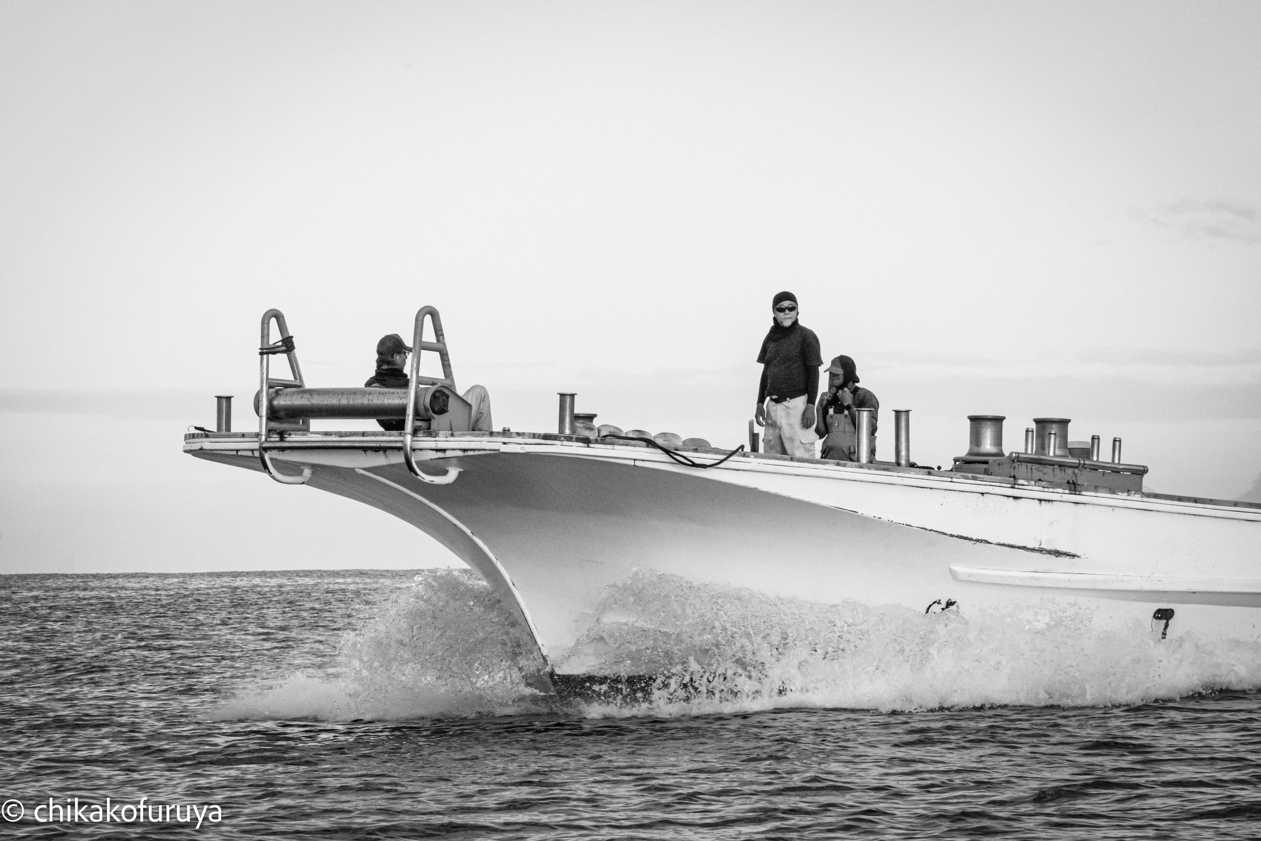 03_DSC_3934 03_DSC_3934