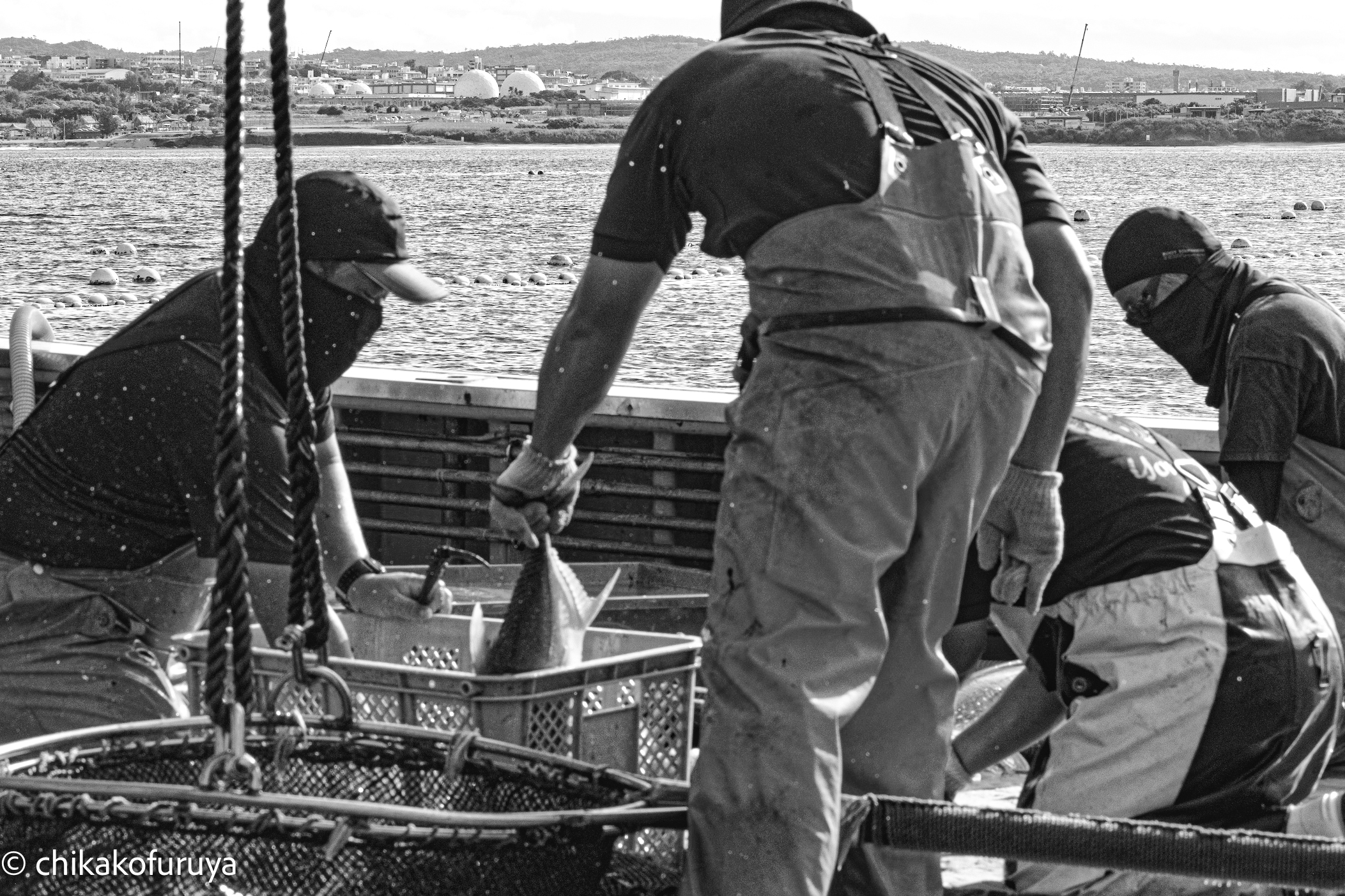 07b-A2-ok_DSC_4262 07b-A2-ok_DSC_4262