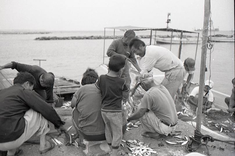 09-785-0029 09-785-0029