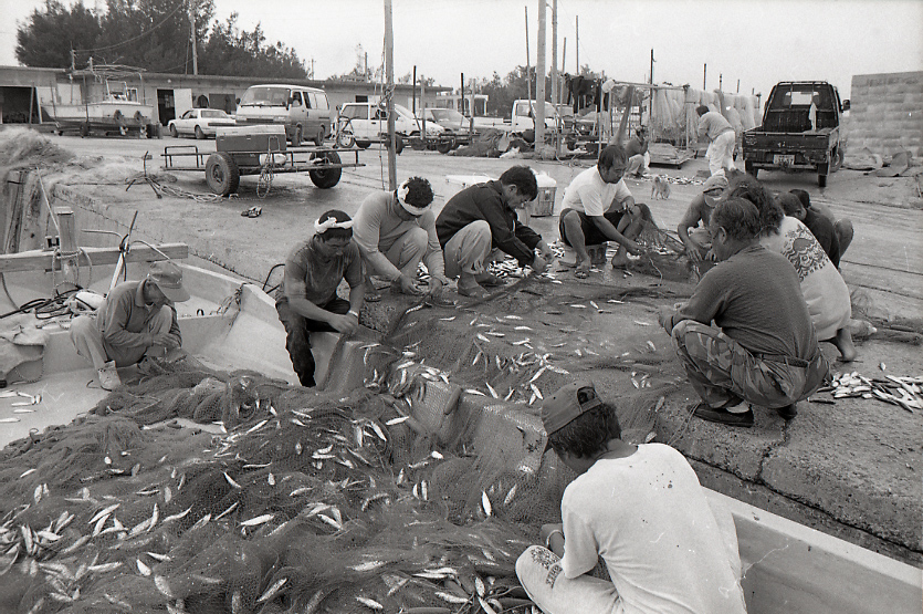 09-786-0003 09-786-0003