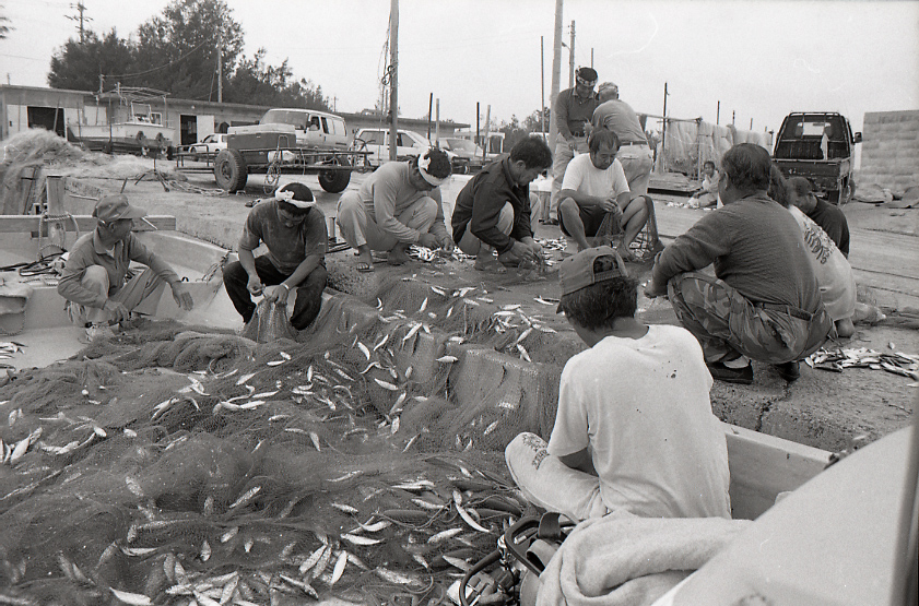 09-786-0005 09-786-0005