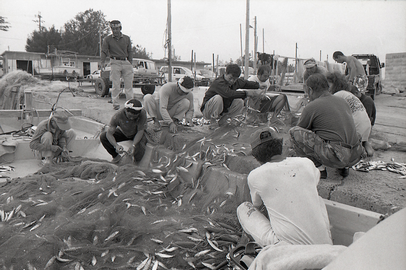 09-786-0006 09-786-0006