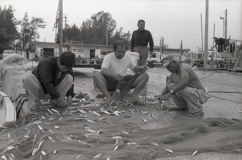 09-786-0010 09-786-0010