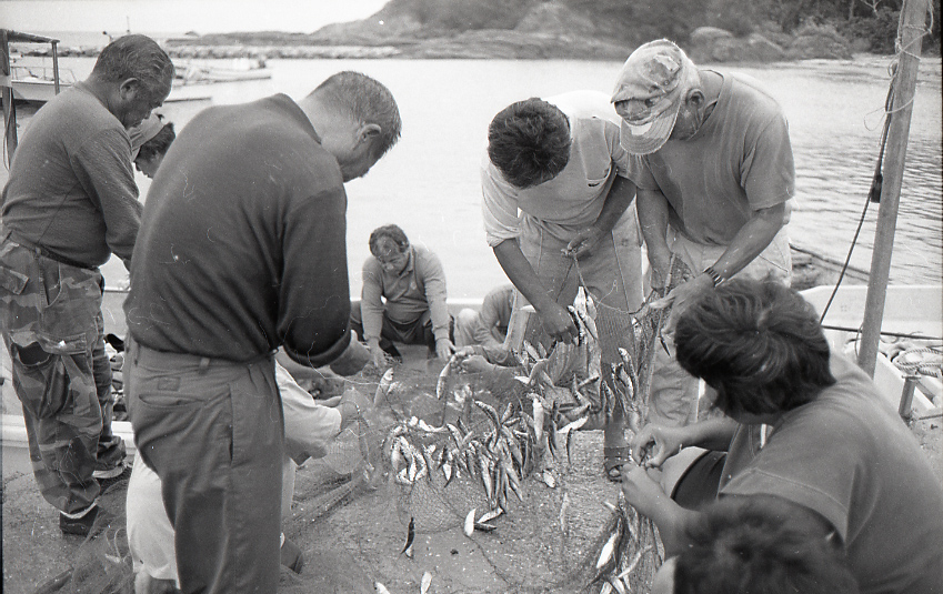 09-789-0001 09-789-0001