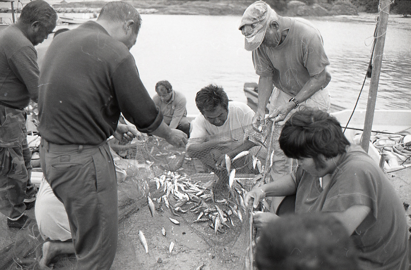 09-789-0002 09-789-0002