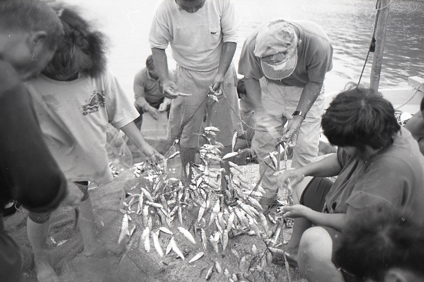 09-789-0005 09-789-0005