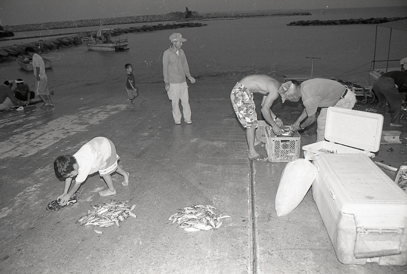 09-791-0007 09-791-0007