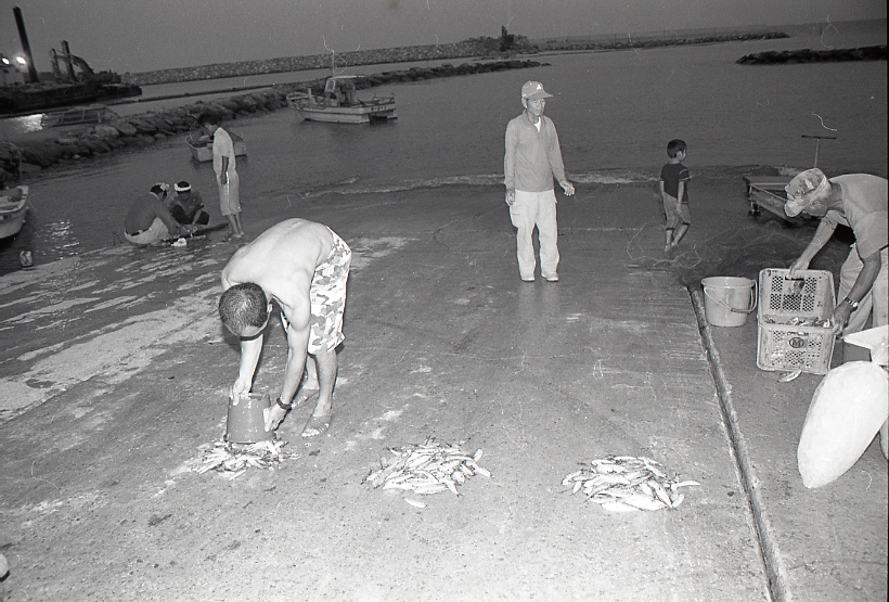 09-791-0008 09-791-0008