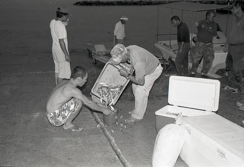 09-791-0009 09-791-0009