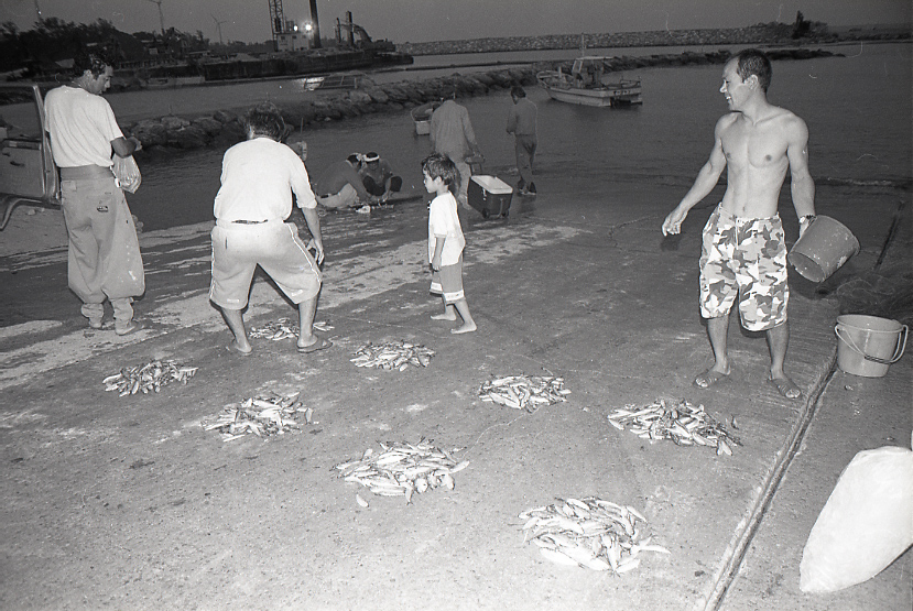 09-791-0010 09-791-0010