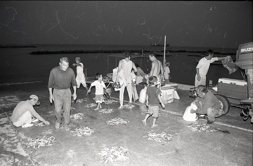 09-791-0011 09-791-0011