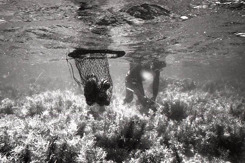 11-106-0002 11-106-0002