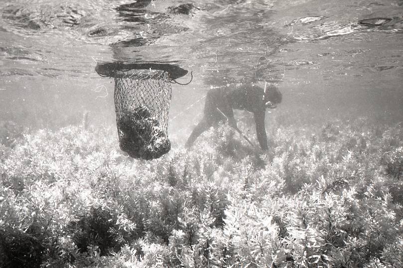 11-106-0003 11-106-0003