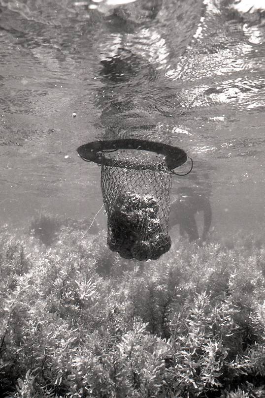 11-106-0004 11-106-0004