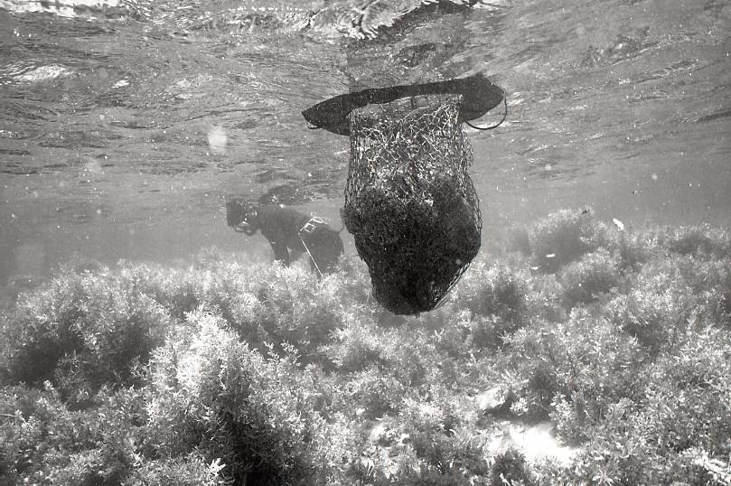 11-106-0005 11-106-0005