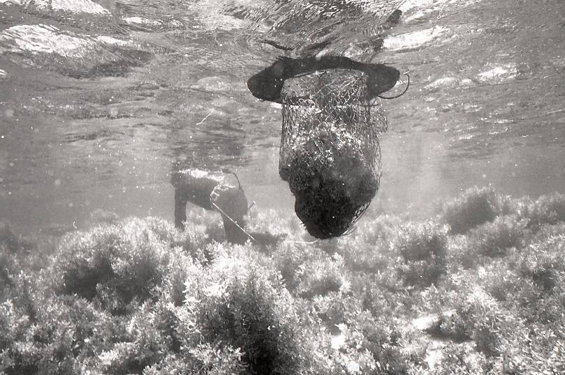 11-106-0006 11-106-0006