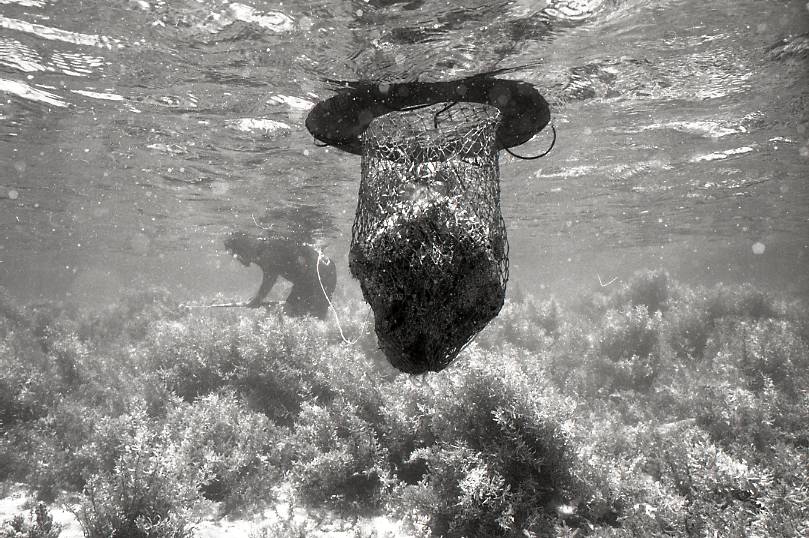 11-106-0007 11-106-0007