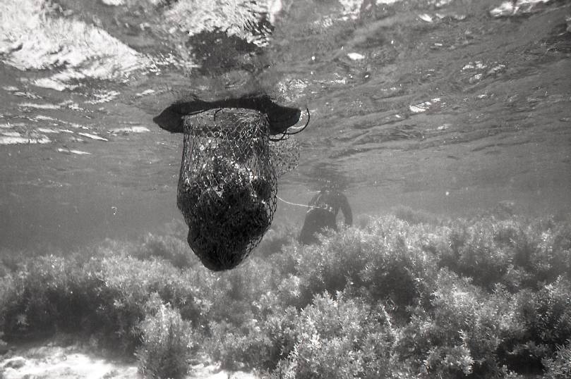 11-106-0008 11-106-0008