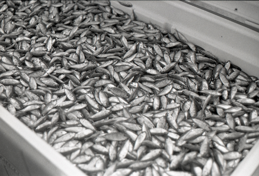 11-108-0014 11-108-0014