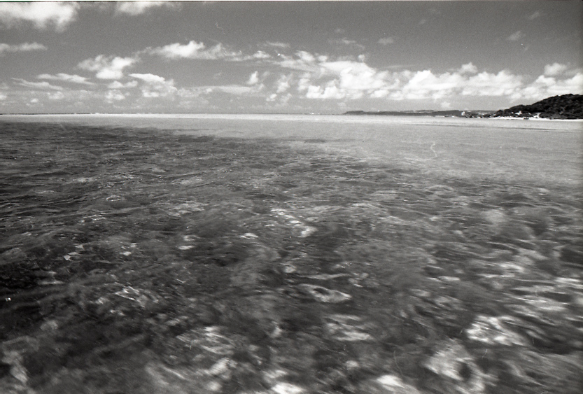 11-110-0031 11-110-0031