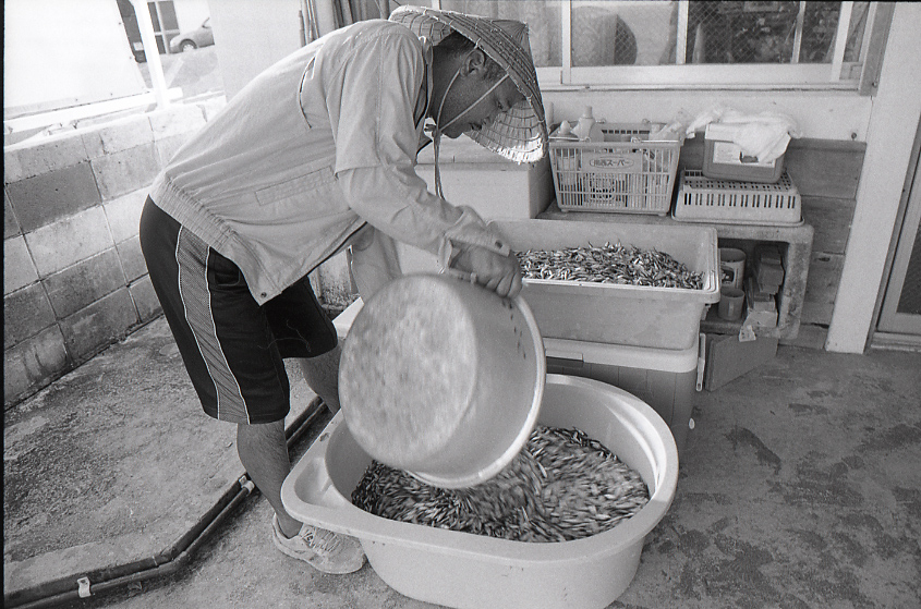 11-110-0033 11-110-0033