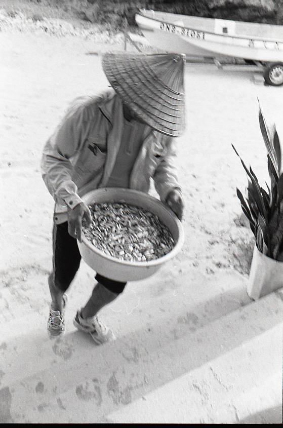 11-110-0036 11-110-0036