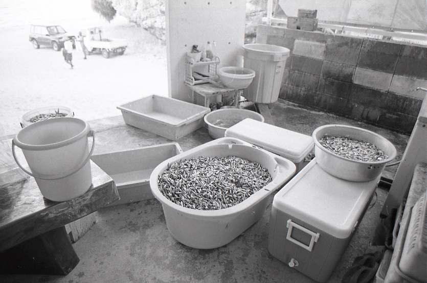 11-110-0037 11-110-0037