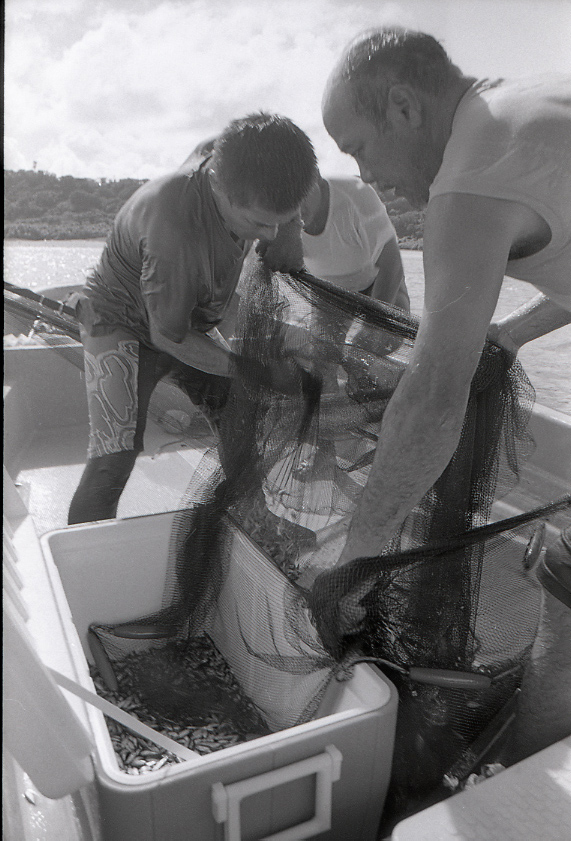 11-111-0007 11-111-0007