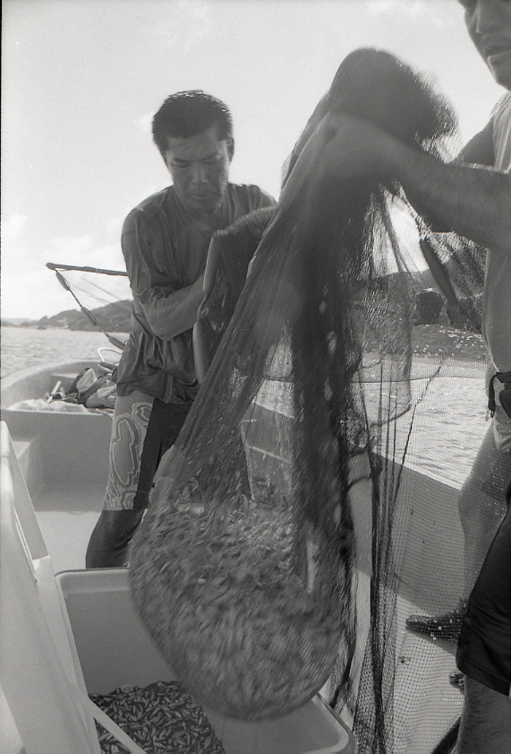 11-111-0008 11-111-0008