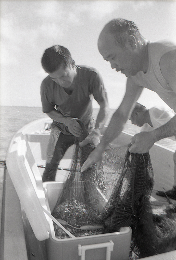 11-111-0009 11-111-0009