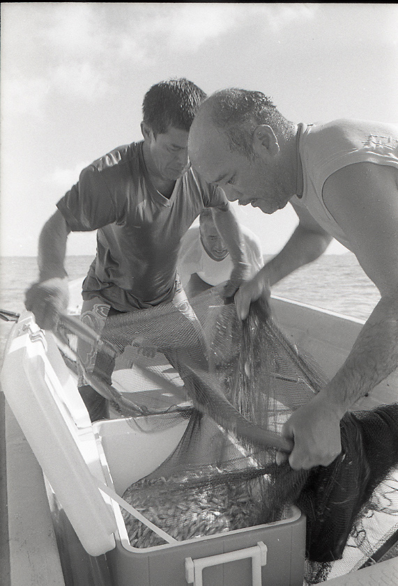 11-111-0010 11-111-0010