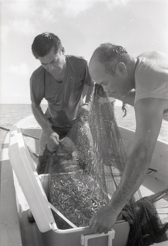 11-111-0011 11-111-0011