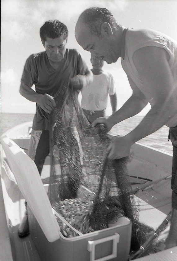 11-111-0012 11-111-0012