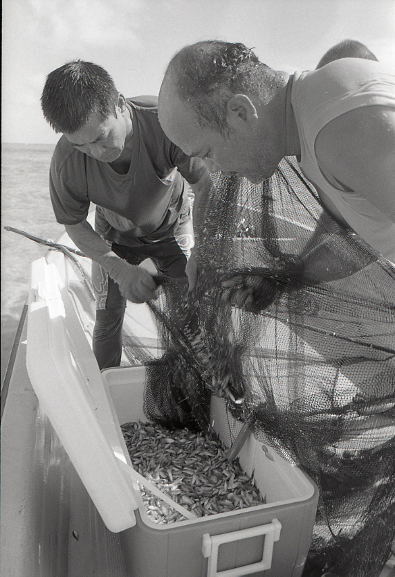 11-111-0014 11-111-0014