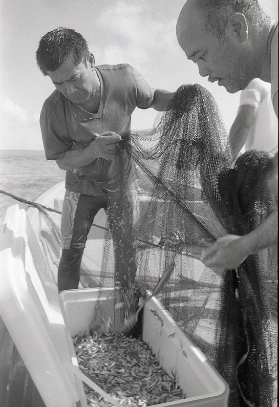 11-111-0015 11-111-0015