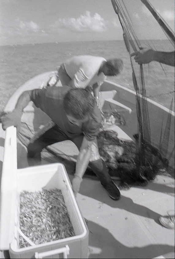 11-111-0017 11-111-0017