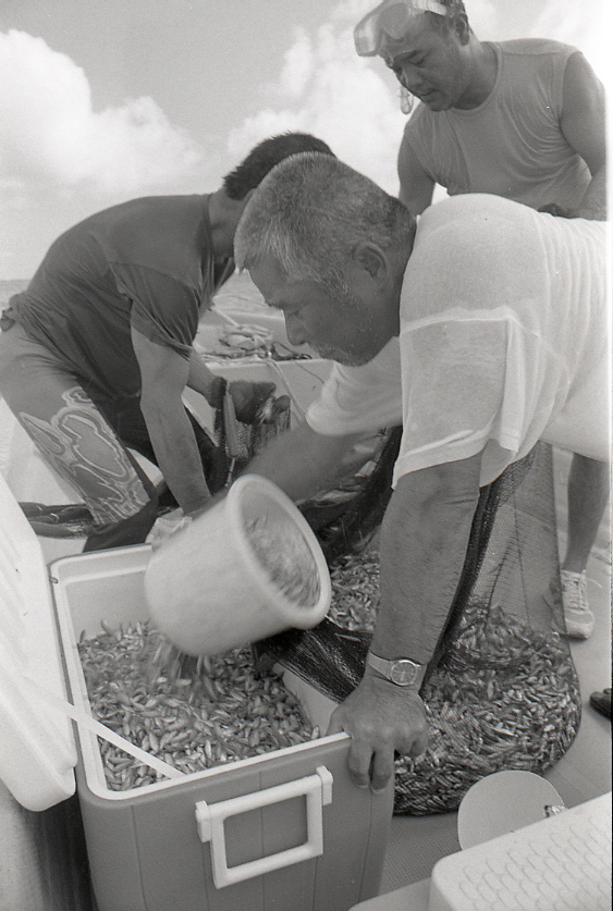 11-111-0022 11-111-0022