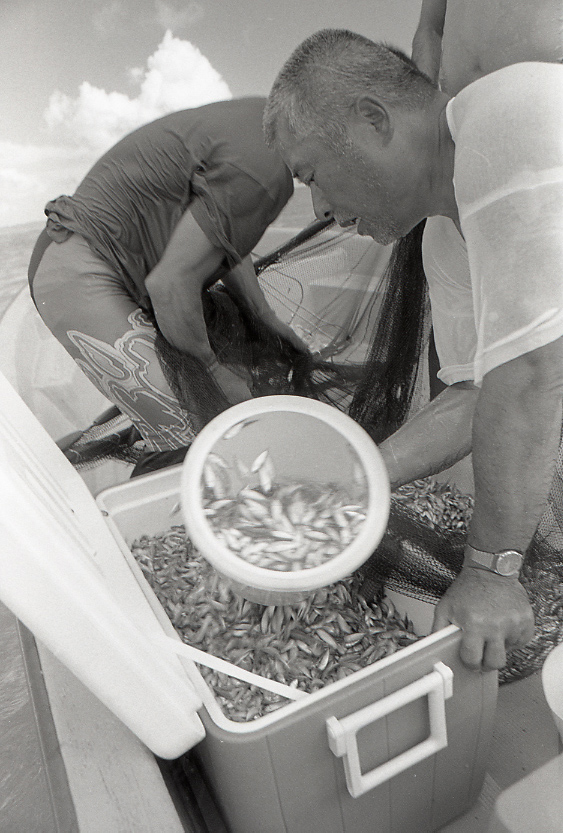 11-111-0024 11-111-0024