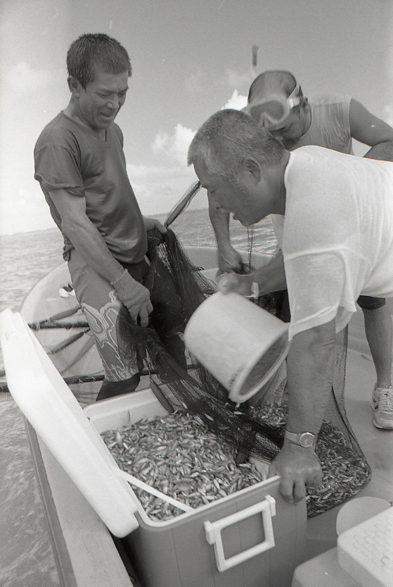 11-111-0025 11-111-0025