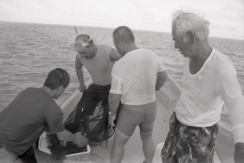 11-111-0026 11-111-0026