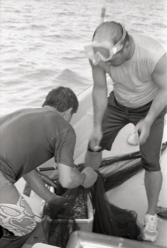 11-111-0027 11-111-0027