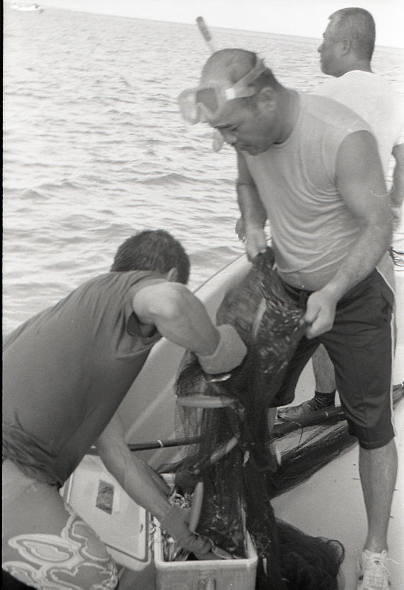 11-111-0028 11-111-0028