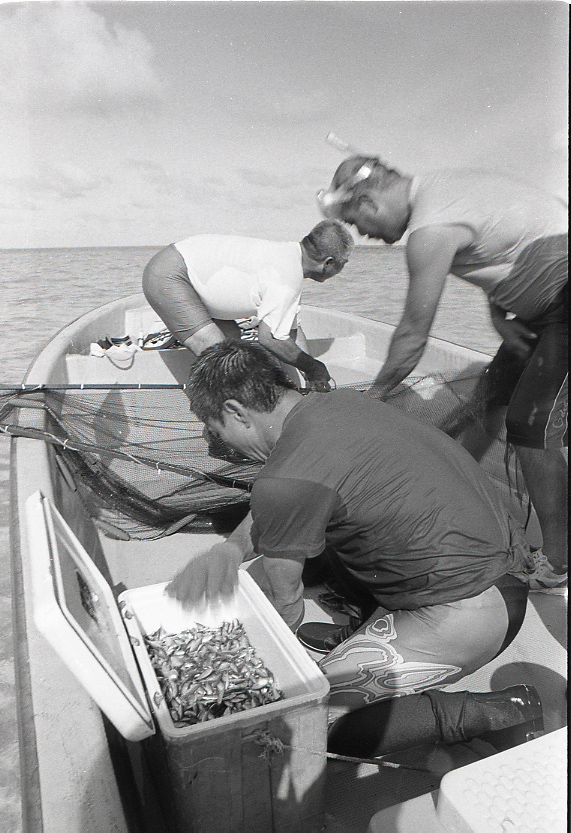 11-111-0029 11-111-0029