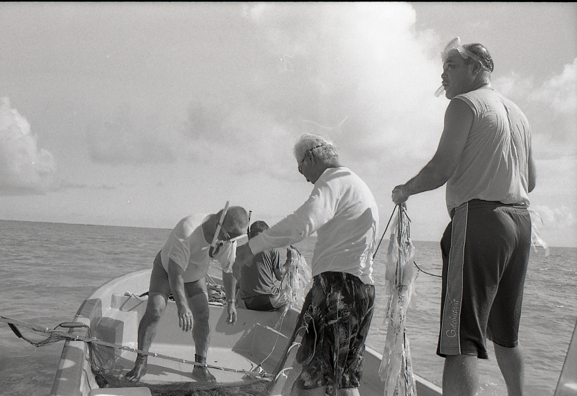 11-111-0031 11-111-0031