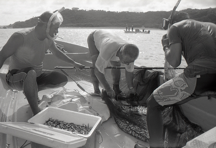 11-111-0033 11-111-0033