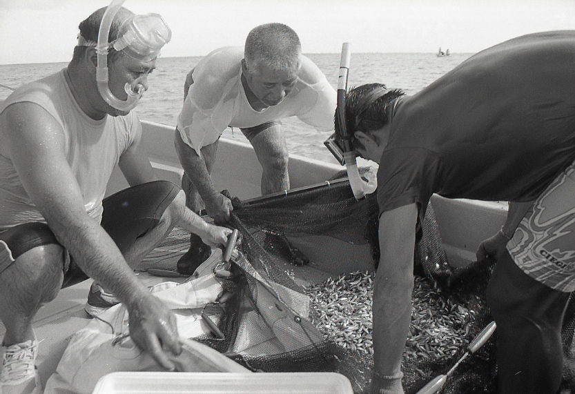 11-111-0034 11-111-0034