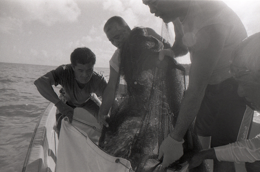 11-116-0029 11-116-0029