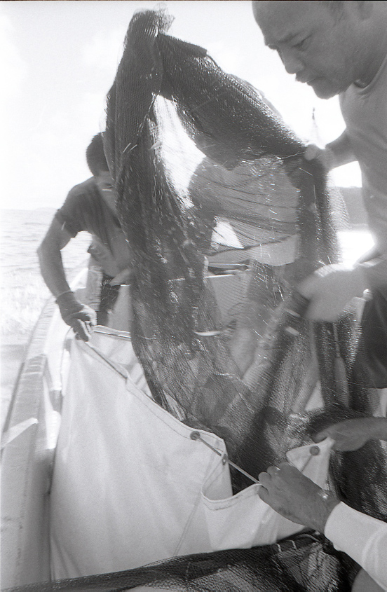 11-116-0030 11-116-0030